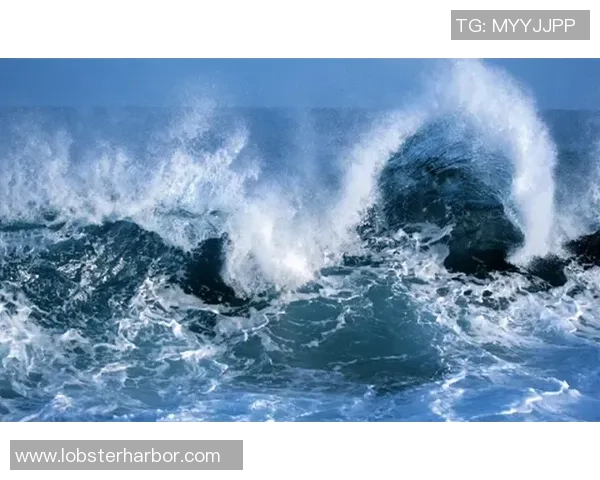 从腾空一跃到水花消散探秘跳水运动背后的力量与艺术 从腾空一跃到水花消散探秘跳水运动背后的力量与艺术