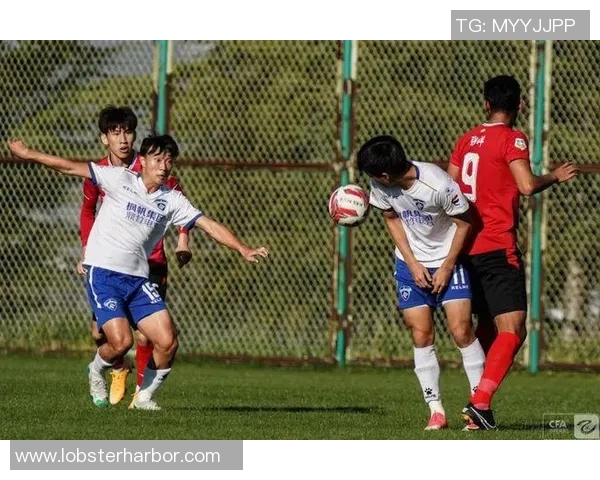 南京枫帆战队勇夺全国电竞赛事冠军 展现顶级实力与团队协作精神