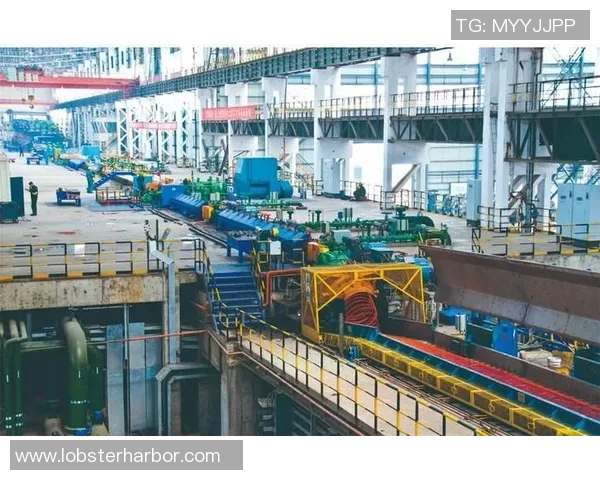 娄底足球队崛起之路：从地方小队到职业联赛的奋斗历程与未来展望