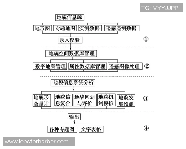 篮球运动的魅力与技术解析探讨：从基本技巧到战术布局的全面分析