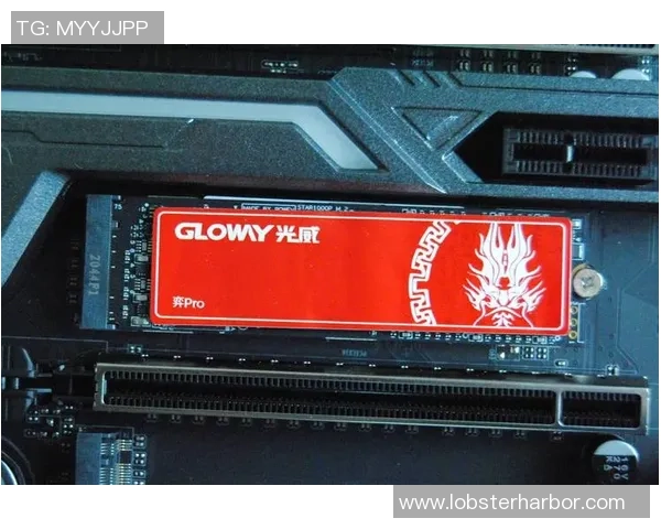 Chovy中单的崛起与挑战探索电竞新星的成长之路与未来展望